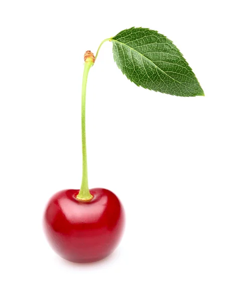 One ripe cherry with leaf — Stock Photo, Image