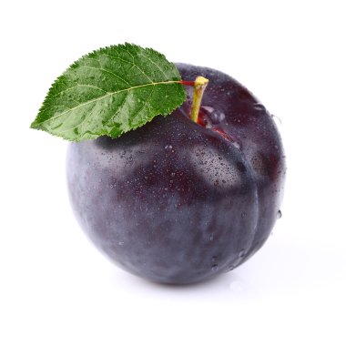 bir olgunlaşmış taze Erik yaprağı