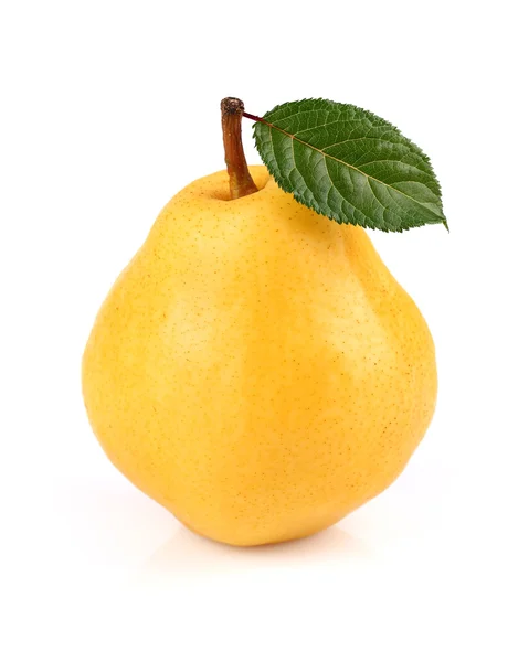 Fresh ripe pear — Stock Photo, Image