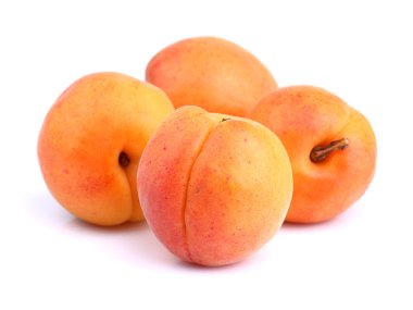 Beyaz arka planda olgun kayısılar