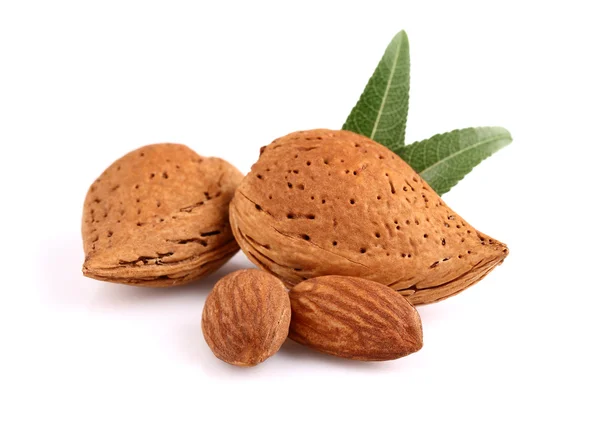 Sweet almonds with leaves — Stock Photo, Image