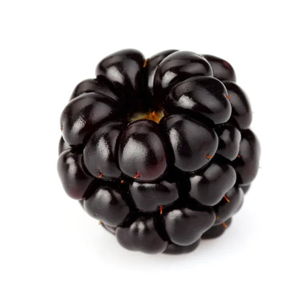 En blackberry i närbild — Stockfoto