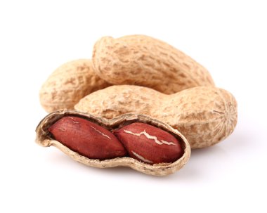 kurutulmuş fıstık