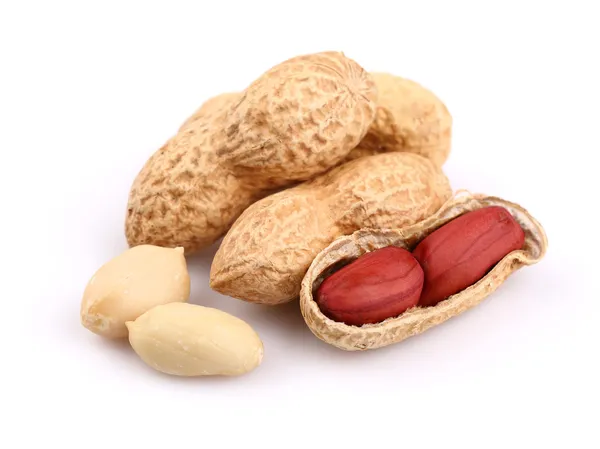 Erdnüsse in Großaufnahme — Stockfoto