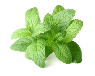 Peppermint in closeup clipart