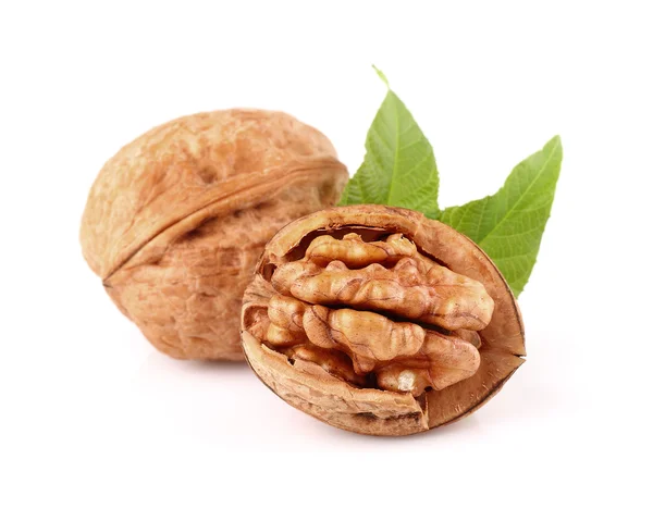 Nueces con hoja — Foto de Stock