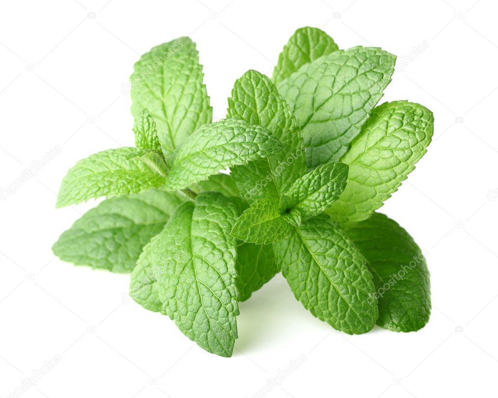 Peppermint in closeup Stock Photo by ©Dionisvera 14799151
