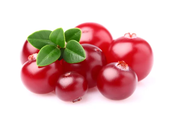 Healthy cranberry — Stock Photo, Image