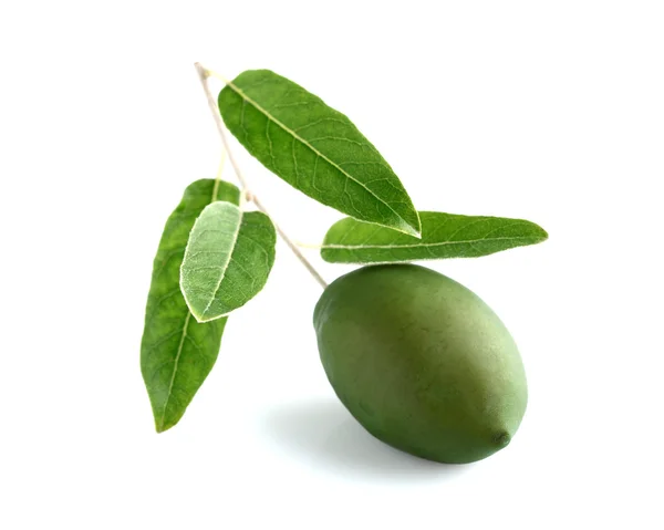 Green olive in closeup — Stock Photo, Image