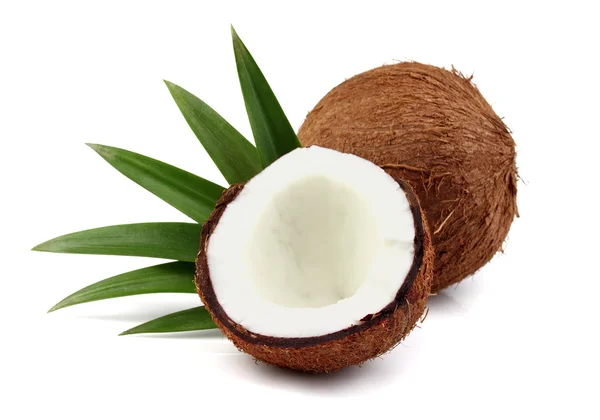 Sladký kokos s listy — Stock fotografie