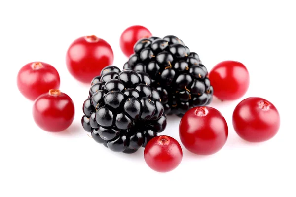 Cranberry with blackberry — Stock Photo, Image