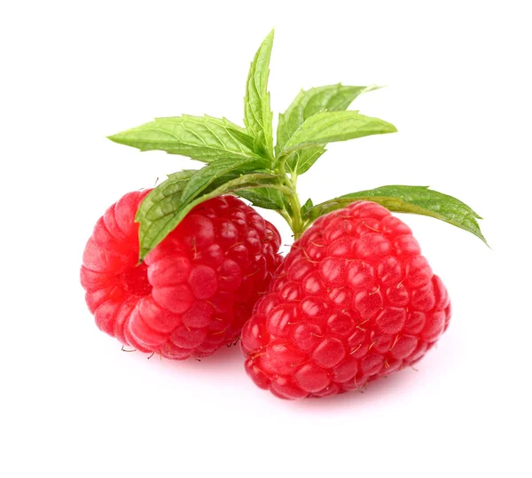 박하와 딸기 — 스톡 사진