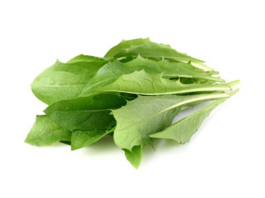 karahindiba yaprakları