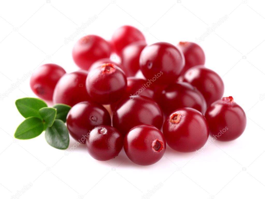 Heap of ripe cranberry