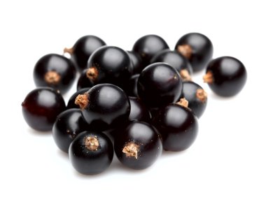 blackcurrant yığını