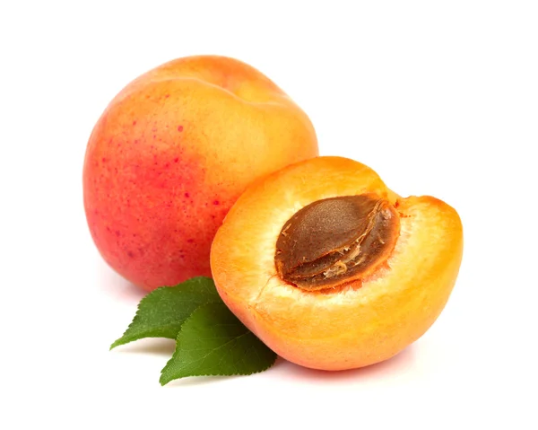 Aprikoser med blad Stockbild
