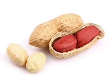 kurutulmuş portre fıstık