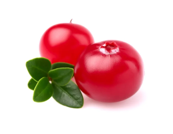 Two fresh cranberry with leaf — Stock Photo, Image