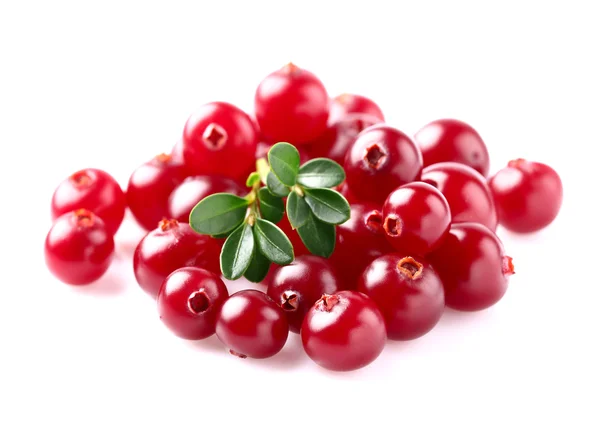 Heap of ripe cranberry — Stock Photo, Image