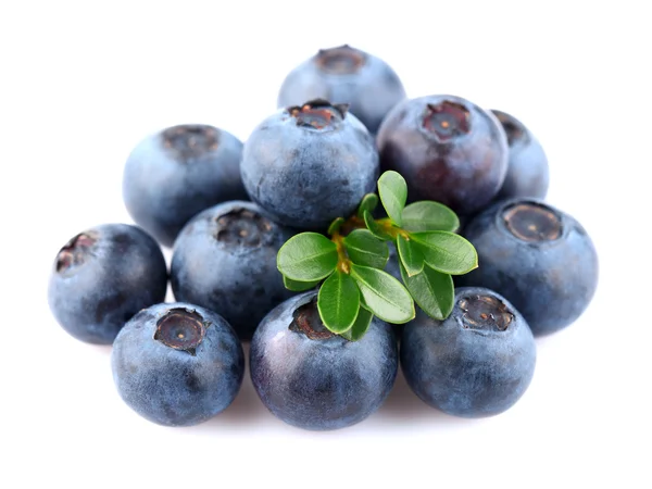 Juicy blueberry with leaves — Stock Photo, Image