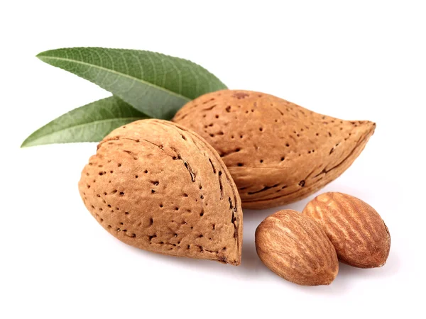 Almonds with kernel — Stock Photo, Image