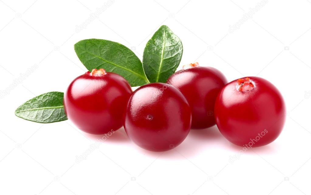 Cranberry with leaves in closeup