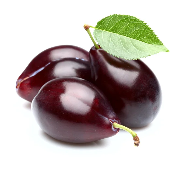 Ripe plums with leaf — Stock Photo, Image