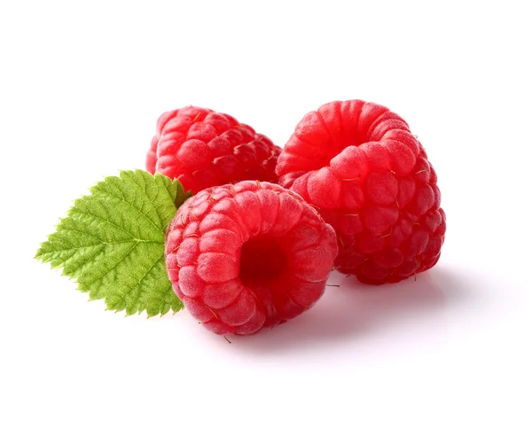 Ripe raspberry with leaf — Stock Photo, Image