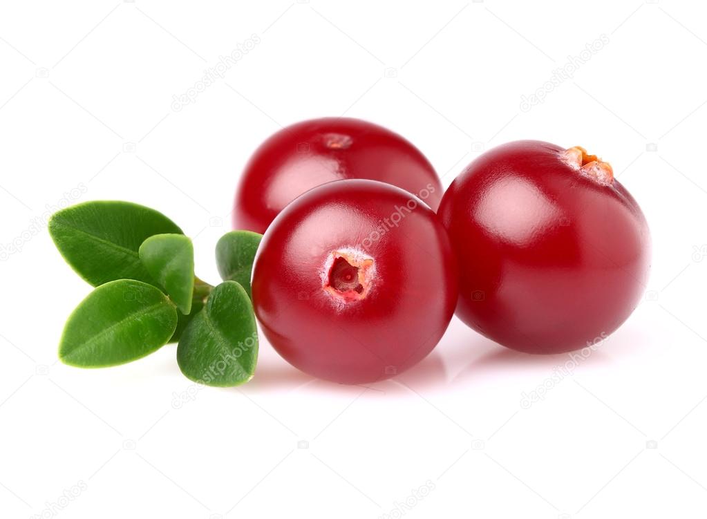 Cranberry in closeup