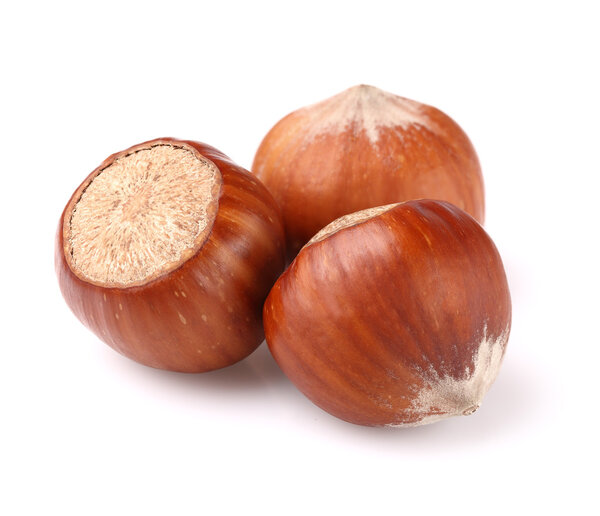 Сушеный фильбер крупным планом
