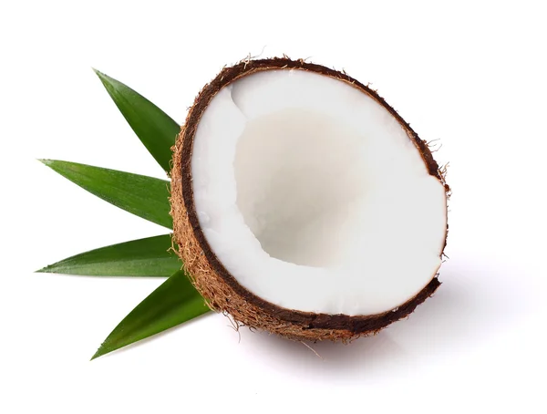 Knippen van de kokosnoot met bladeren — Stockfoto