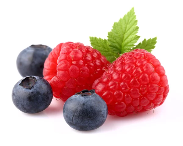 Raspberry with blueberry — Stock Photo, Image