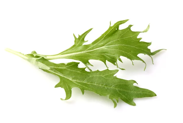 Fresh leaves of arugula — Stock Photo, Image