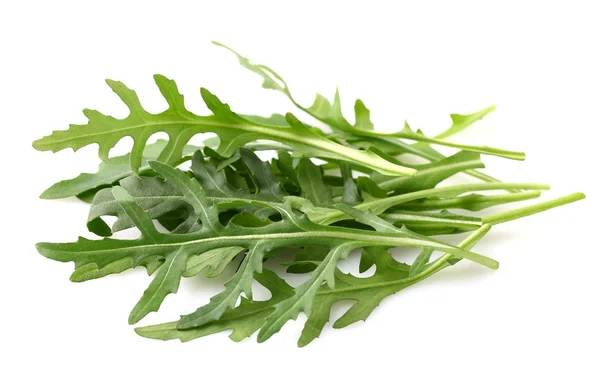 Ruccola blad — Stockfoto