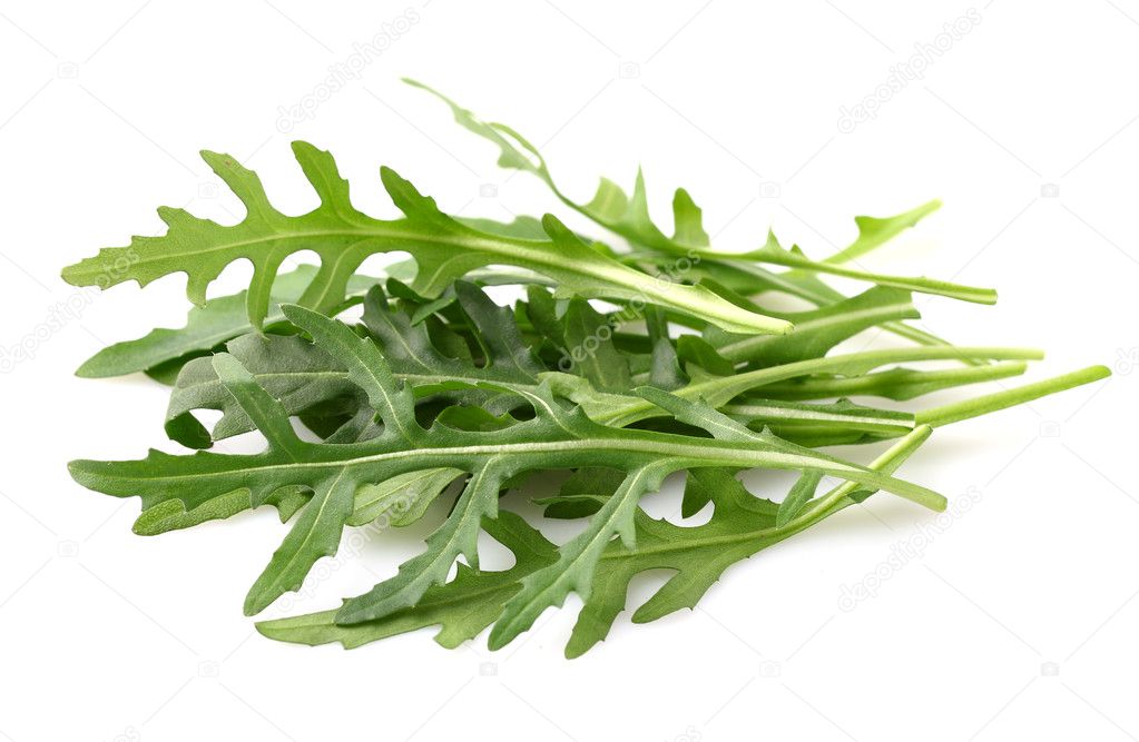 Ruccola leaves