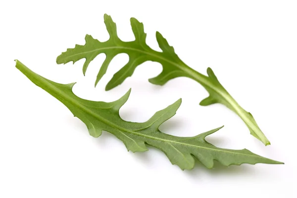 Leaves of ruccola — Stock Photo, Image