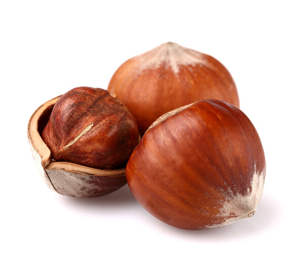 Hazelnuts in close seup
