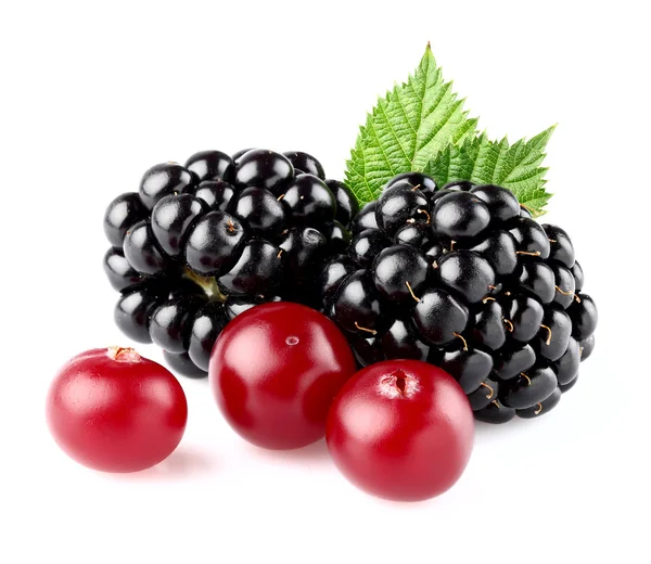Blackberry con mirtillo rosso — Foto Stock