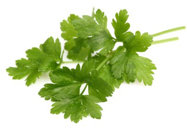 maydanoz yaprakları