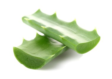 aloe vera closeup içinde