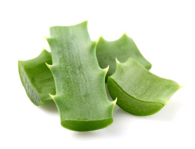 aloe vera yaprağı