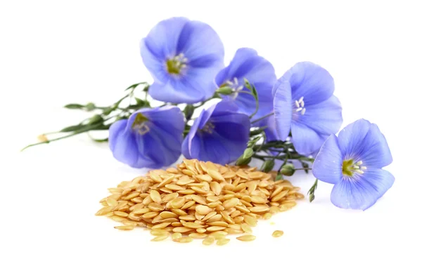 Flax seeds with flowers — Stock Photo, Image