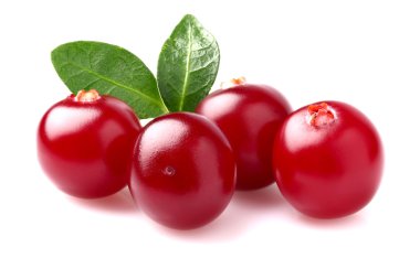 Cranberry in closeup clipart