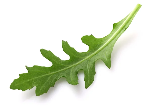 Рукколой leaf в крупним планом — стокове фото
