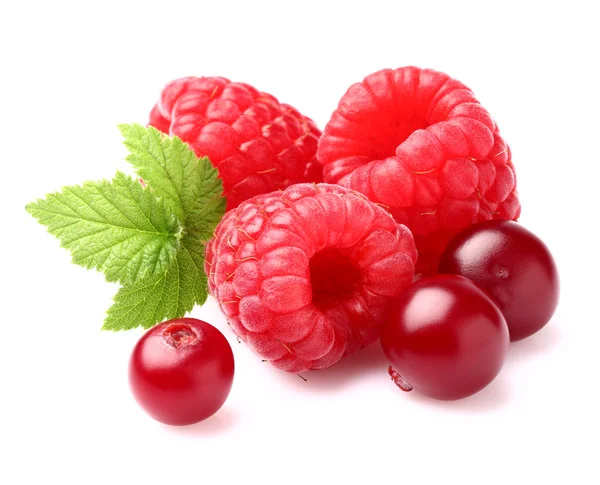 Raspberry with cranberry — Stock Photo, Image