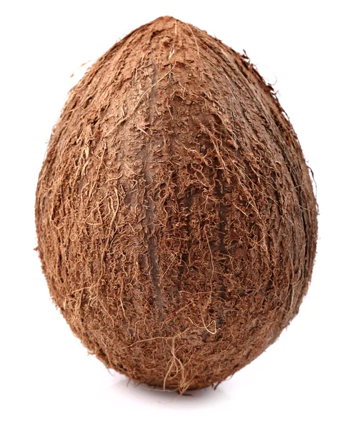 Полный кокос — стоковое фото
