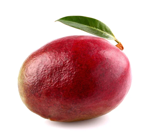 Yaprak ile olgun mango — Stok fotoğraf