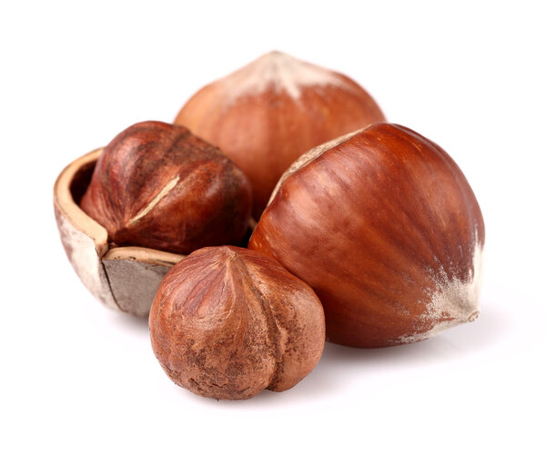 Сушеные фундуки
