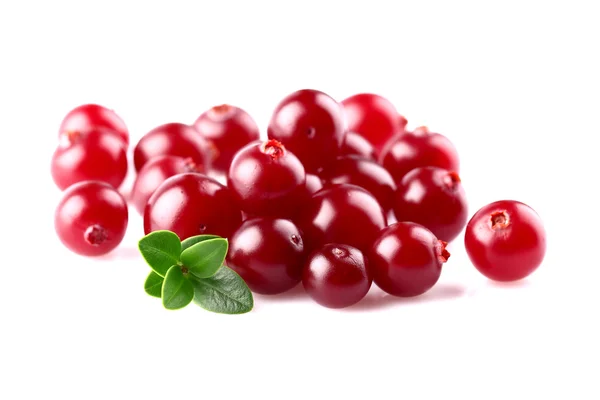 Cranberry with leaf — Stock Photo, Image