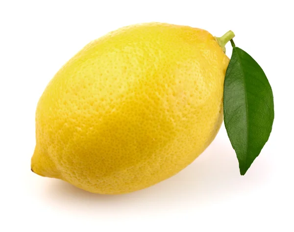 Limone maturo con foglia — Foto Stock